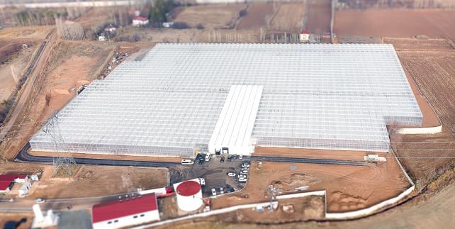 Netgreen Turkey